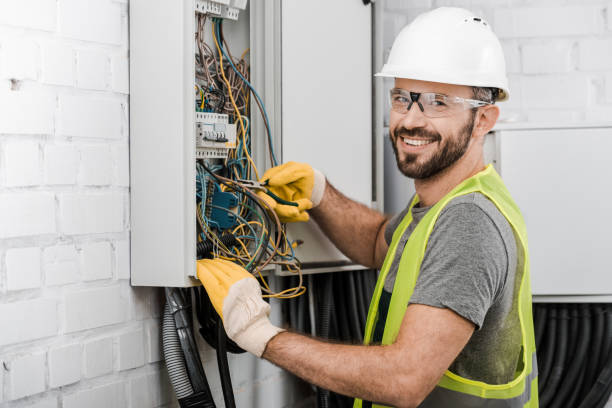 Best Electric Panel Repair  in Cedaredge, CO