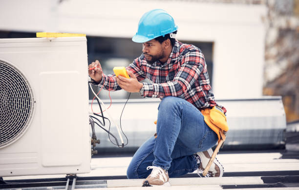 Best Affordable Electrician  in Cedaredge, CO