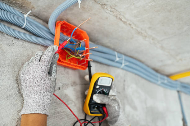 Best Electrical Upgrades for Homes  in Cedaredge, CO