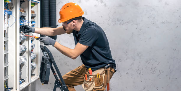 Best Electrical System Inspection  in Cedaredge, CO